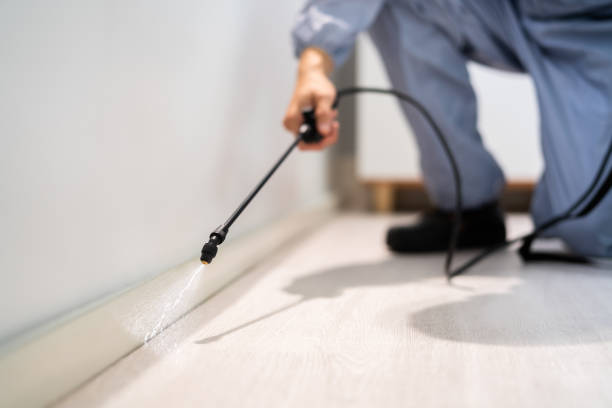 Licensed Pest Control service in Ferrysburg, MI - Show Me Pest Control
