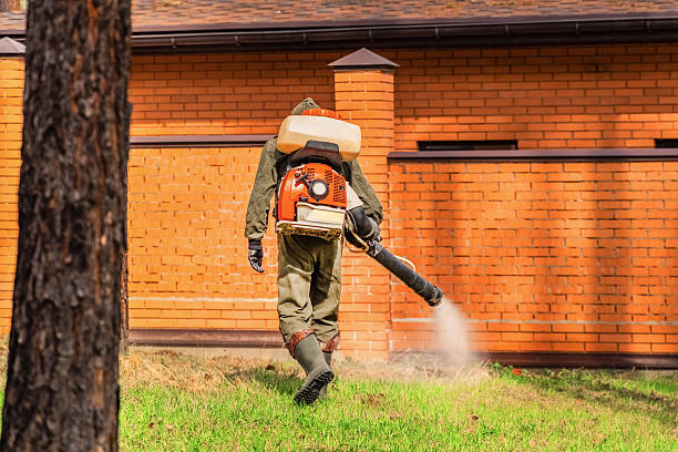 Top rated local Mosquito Control specialists in Ferrysburg, MI
